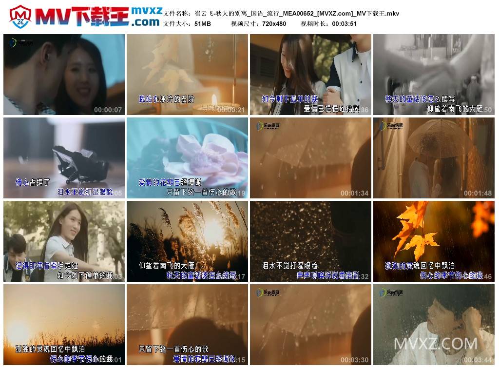 崔云飞-秋天的别离_国语_流行_MEA00652